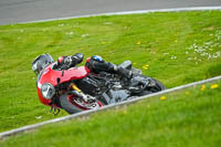 anglesey;brands-hatch;cadwell-park;croft;donington-park;enduro-digital-images;event-digital-images;eventdigitalimages;mallory;no-limits;oulton-park;peter-wileman-photography;racing-digital-images;silverstone;snetterton;trackday-digital-images;trackday-photos;vmcc-banbury-run;welsh-2-day-enduro